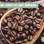¿Te gusta el café fuerte? Aprende todo sobre el café Robusta
