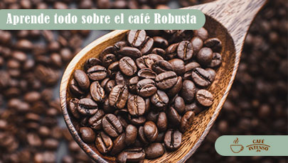 Café Robusta